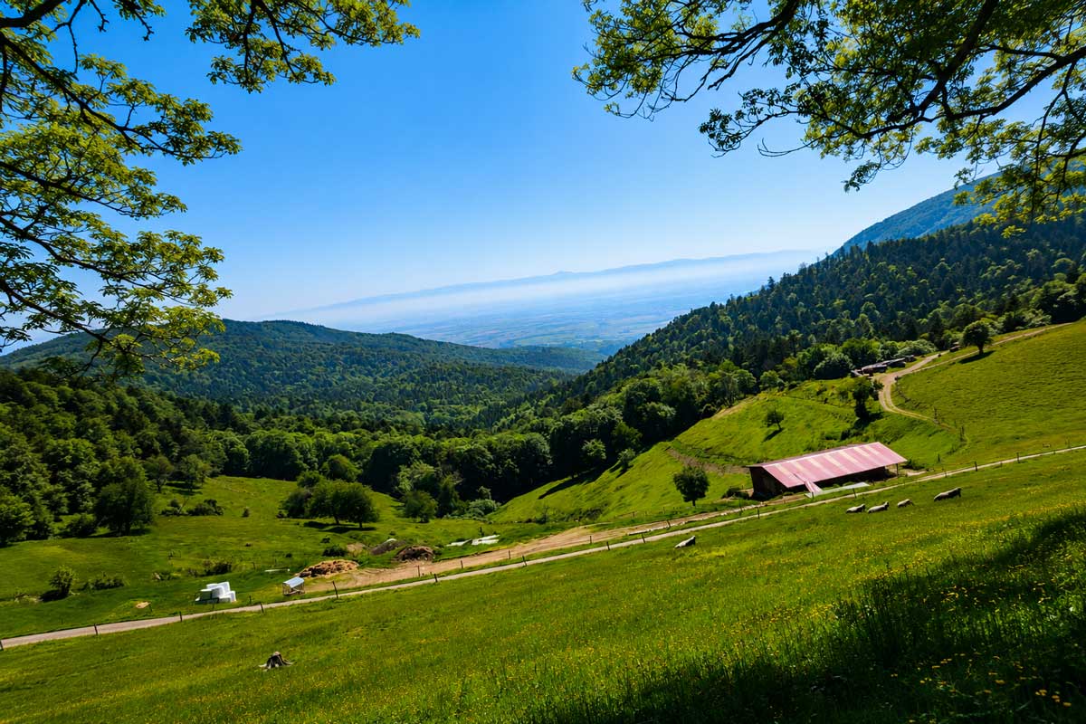 Grand Ballon