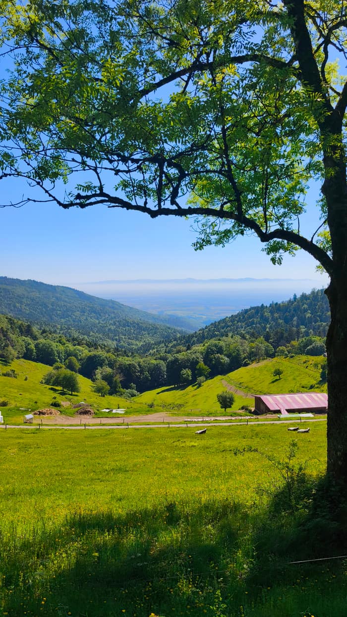 Grand Ballon