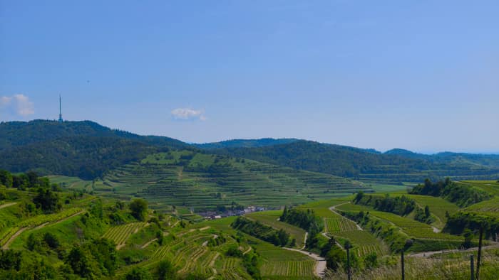 Kaiserstuhl Freestyle
