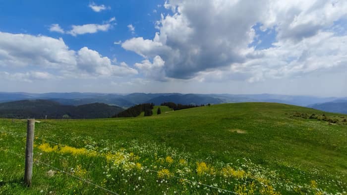 Schwarzwald Climbs